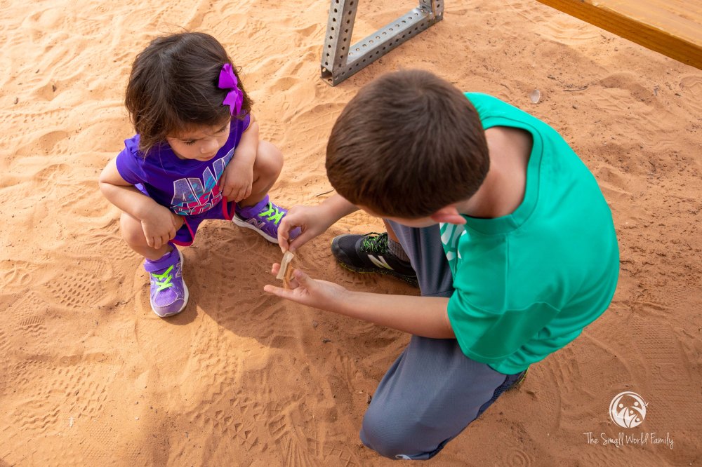 Top 10 things Canyon-1