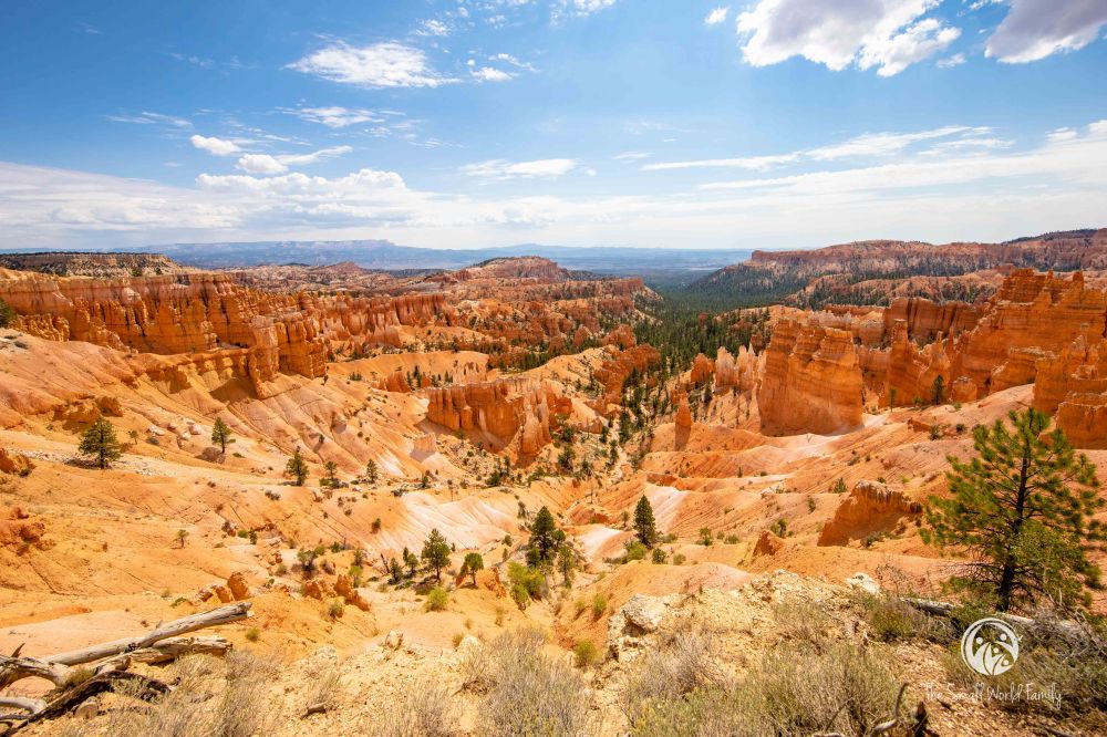 Western Canyon Tour - Bryce-4