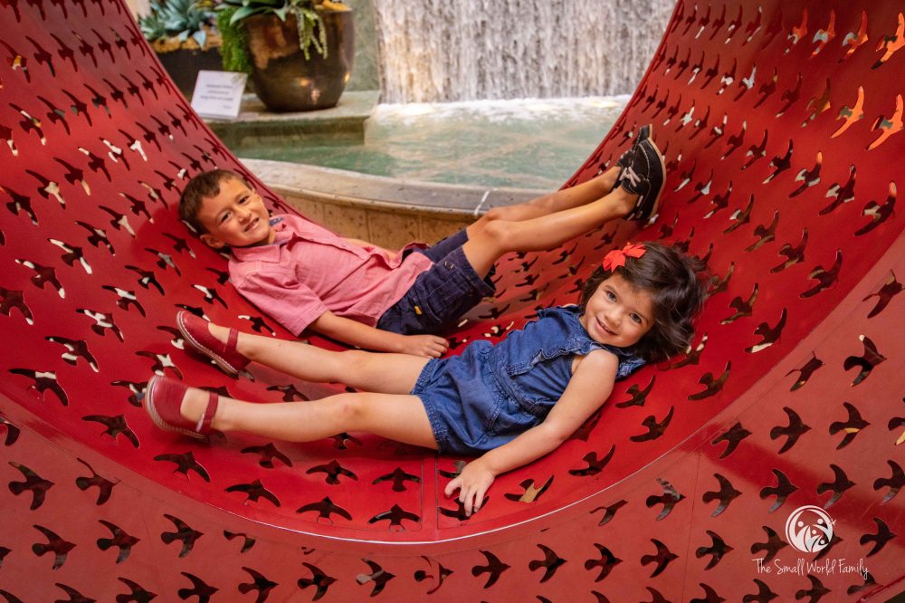 Western Canyon Tour - Vegas-2