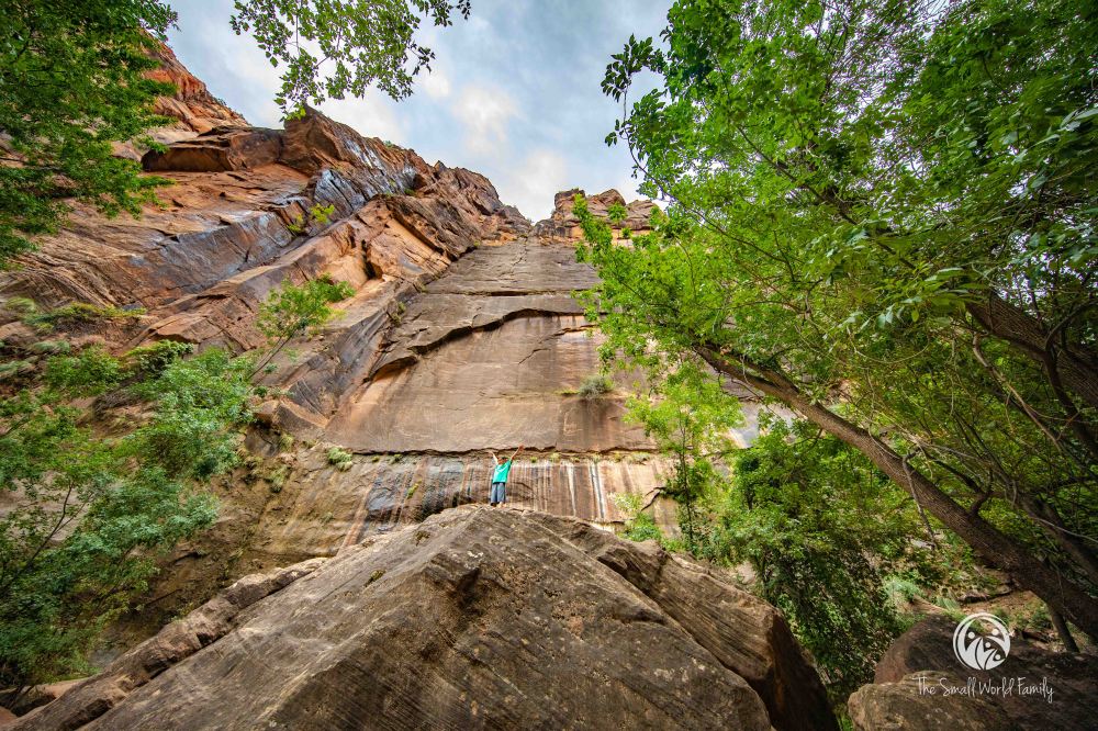 Western Canyon Tour - Zion-1-3