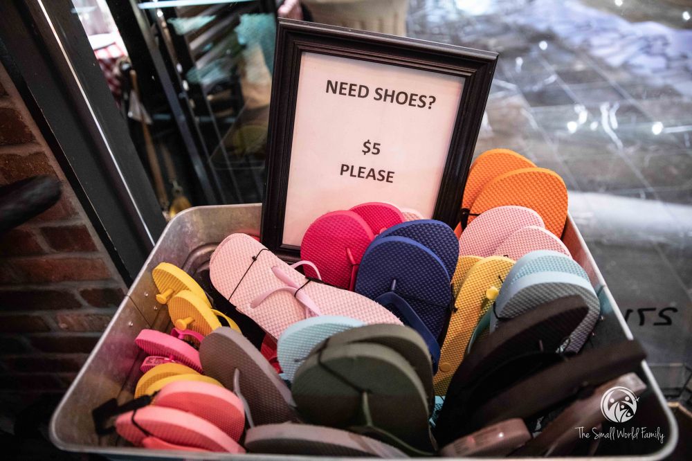 Western Canyon Tour - Zion-25