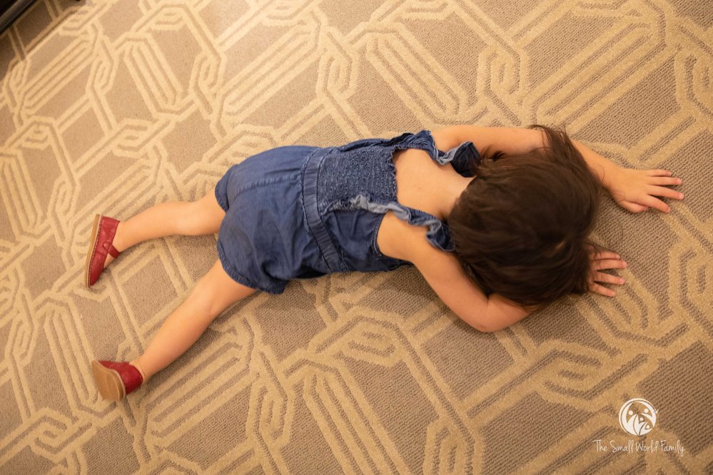 Western Canyon Tour - Zion-30