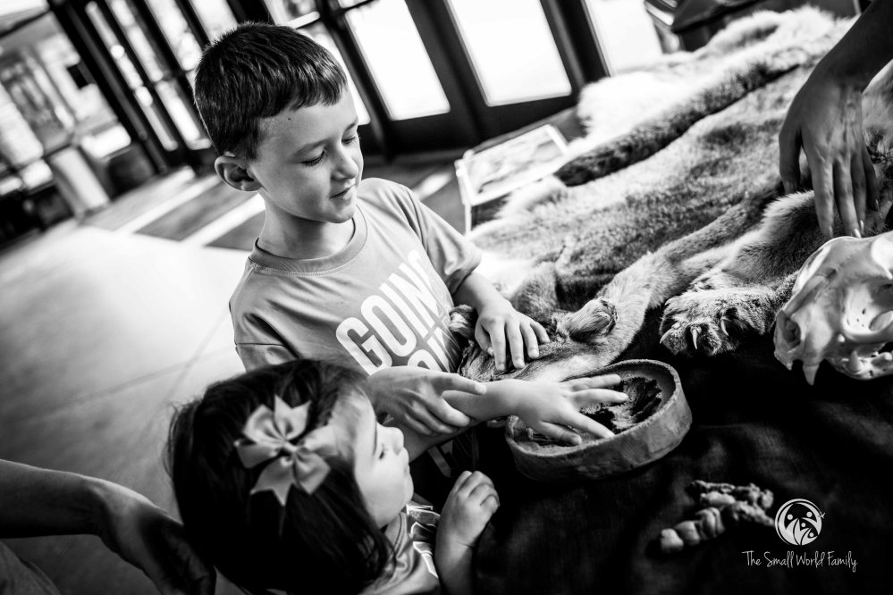 Western Canyon Tour - Zion-9