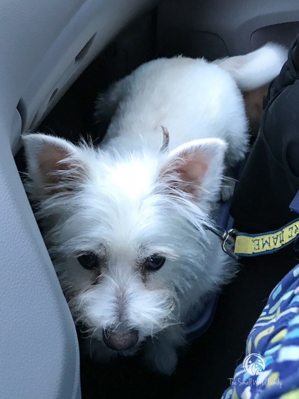 Norwegian Transatlantic Day 1-1.jpg