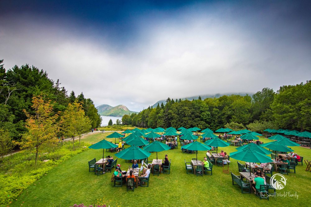 Oli's Trolley's-11.jpg