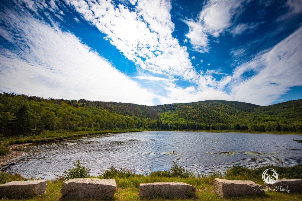 Oli's Trolley's-5.jpg