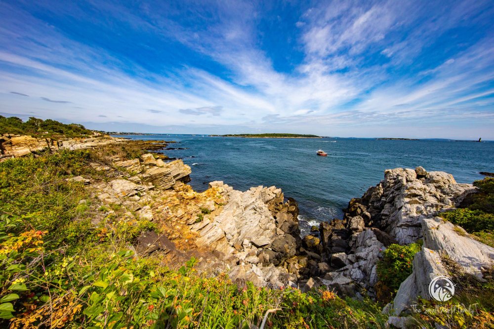 Portland Discovery City and Lighthouse Tour-14