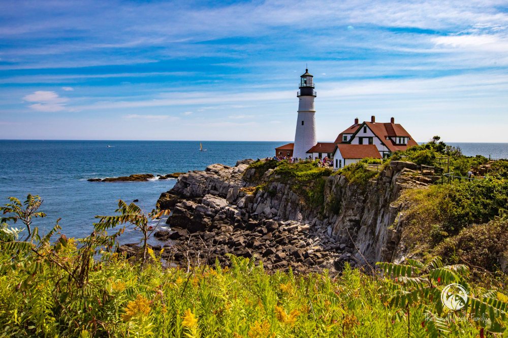 Portland Discovery City and Lighthouse Tour-16