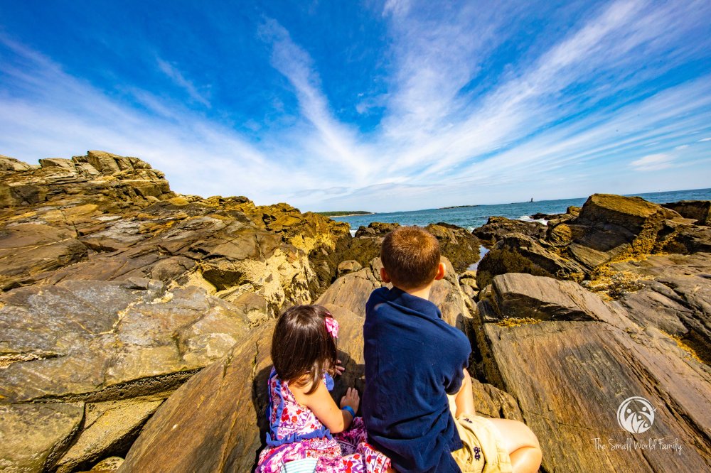 Portland Discovery City and Lighthouse Tour-18