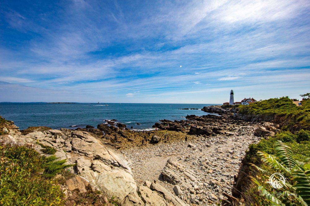 Portland Discovery City and Lighthouse Tour-19