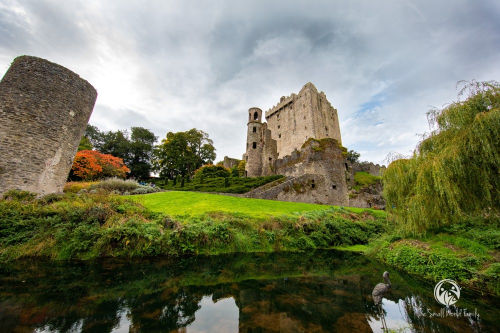 Norwegian Transatlantic Cruise Day 10-19